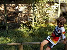 Thumb zoo Kaiserslautern 049 Kopie