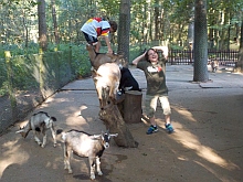 Thumb zoo Kaiserslautern 082 Kopie