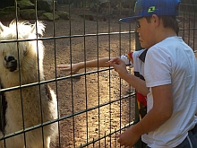 Thumb zoo Kaiserslautern 097 Kopie