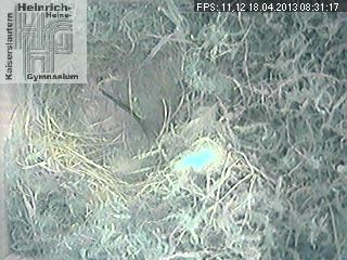 Frame 2013-04-18 08-31-17