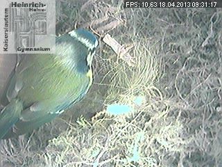 Frame 2013-04-18 09-31-17