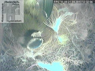 Frame 2013-04-21 12-32-06