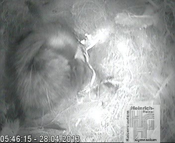 Frame 2013-04-28 05-46-15