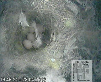 Frame 2013-04-28 19-46-22