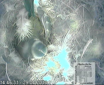 Frame 2013-04-28 19-46-22