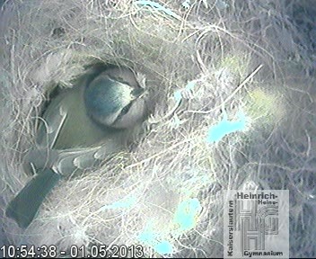 Frame 2013-04-28 19-46-22