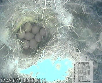 Frame 2013-04-28 19-46-22