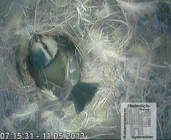 Frame 2013-04-28 19-46-22