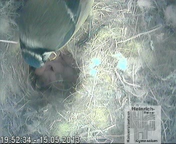 Frame 2013-04-28 19-46-22