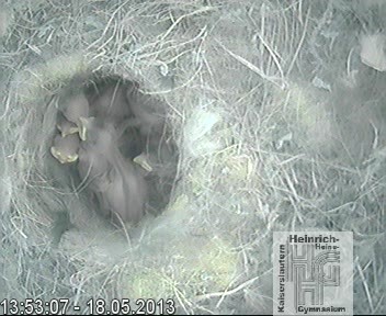 Frame 2013-04-28 19-46-22