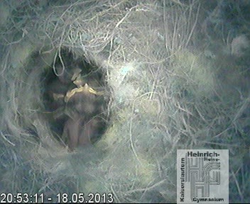 Frame 2013-04-28 19-46-22