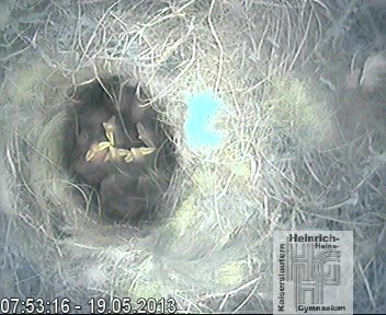 Frame 2013-04-28 19-46-22