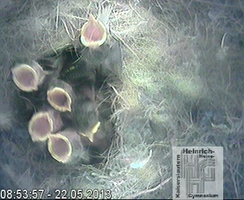 Frame 2013-04-28 19-46-22