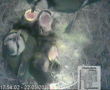 Frame 2013-04-28 19-46-22