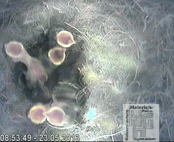 Frame 2013-04-28 19-46-22