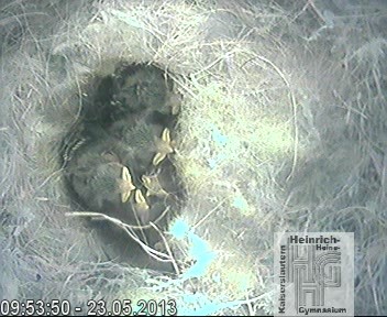 Frame 2013-04-28 19-46-22