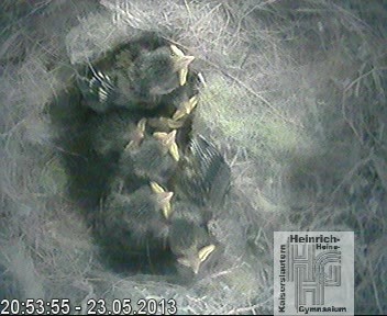 Frame 2013-04-28 19-46-22