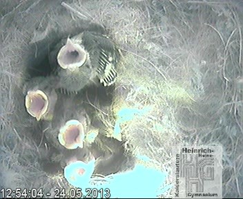 Frame 2013-04-28 19-46-22