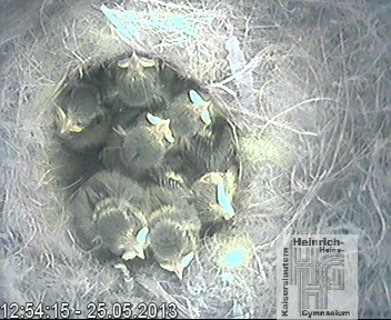 Frame 2013-04-28 19-46-22