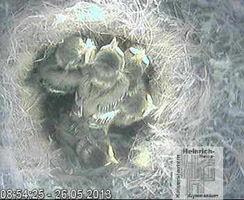 Frame 2013-04-28 19-46-22