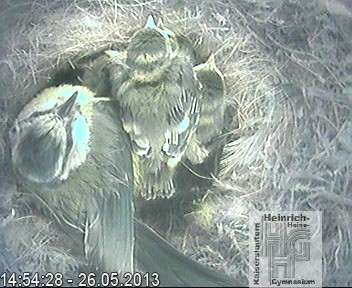 Frame 2013-04-28 19-46-22