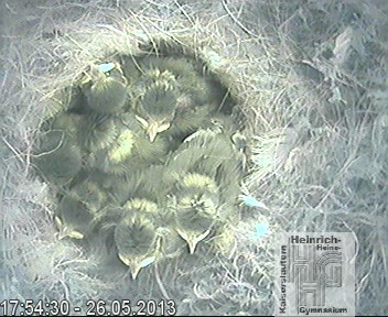 Frame 2013-04-28 19-46-22