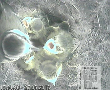 Frame 2013-04-28 19-46-22