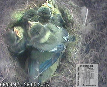 Frame 2013-04-28 19-46-22