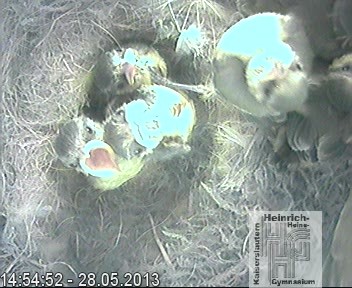 Frame 2013-04-28 19-46-22