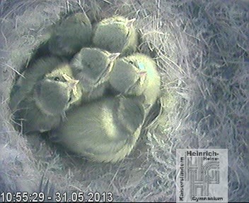 Frame 2013-04-28 19-46-22