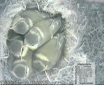 Frame 2013-04-28 19-46-22