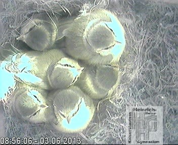 Frame 2013-04-28 19-46-22