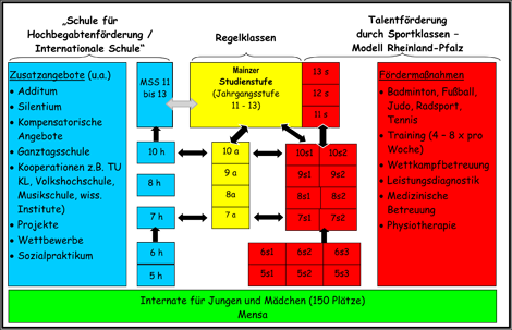 Grafik: Struktur Heinrich-Heine-Gymnasium